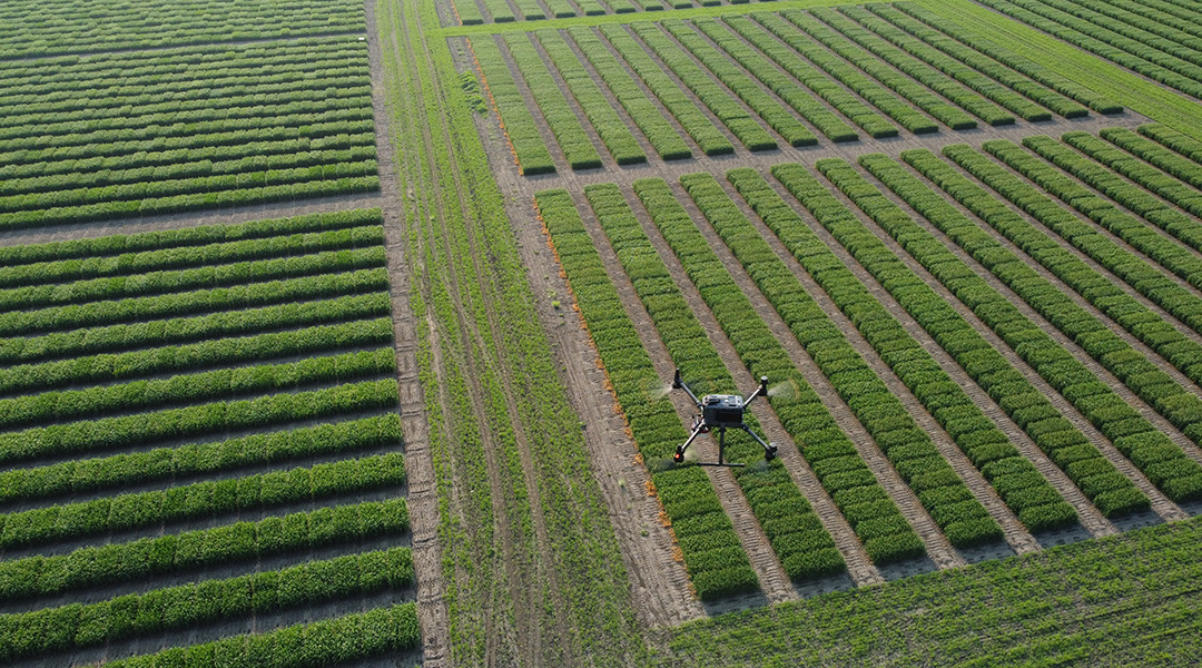 drone
