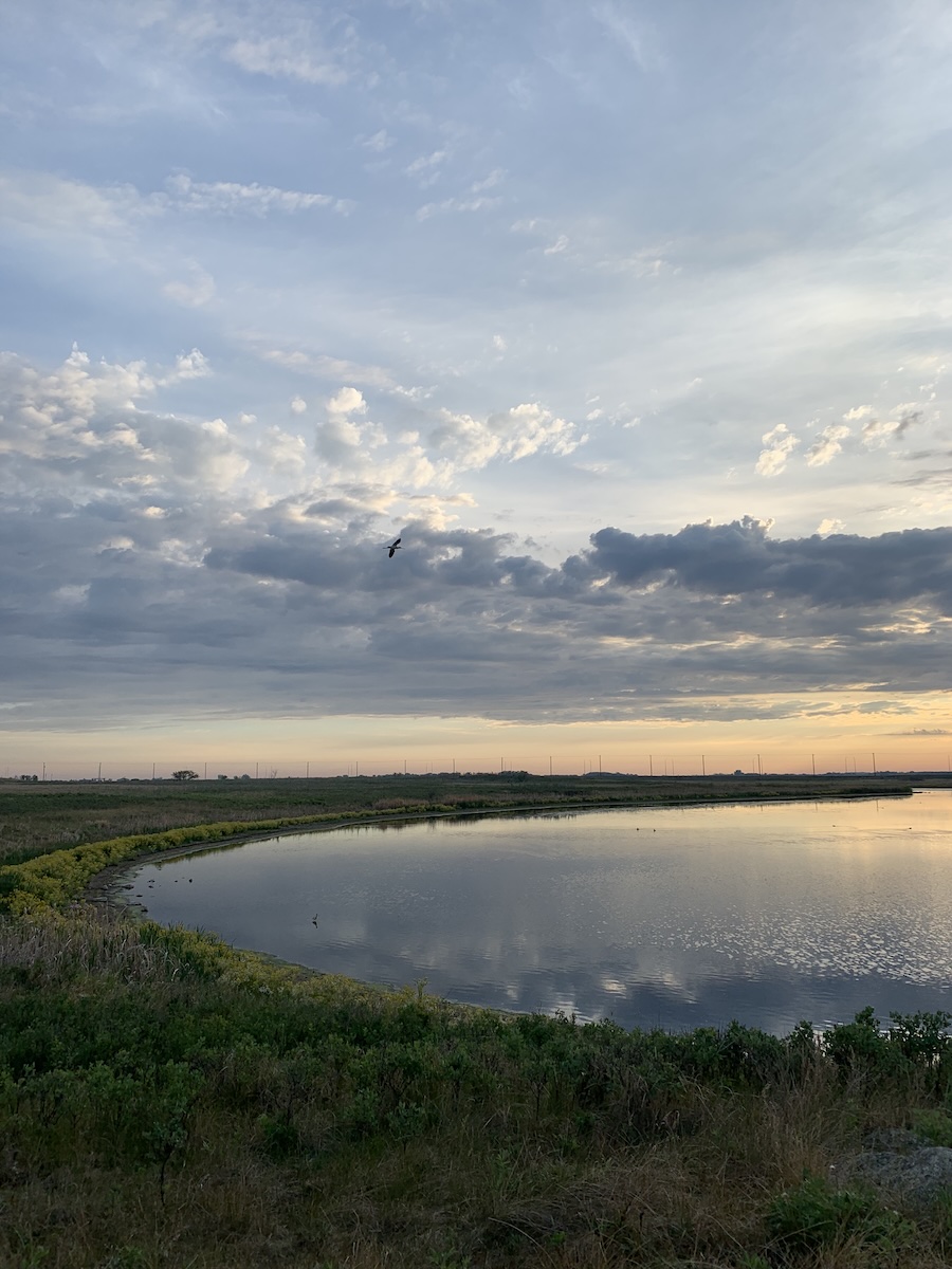 Northeast Swale 