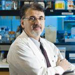 Picture of  Vladimir Vujanovic