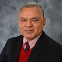 Picture of Ravindra (Ravi) N. Chibbar