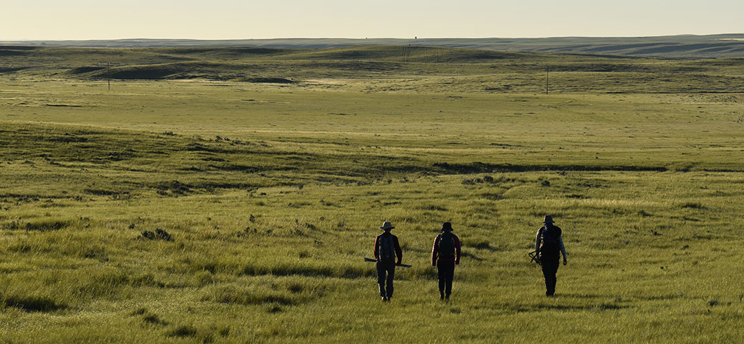 rangeland